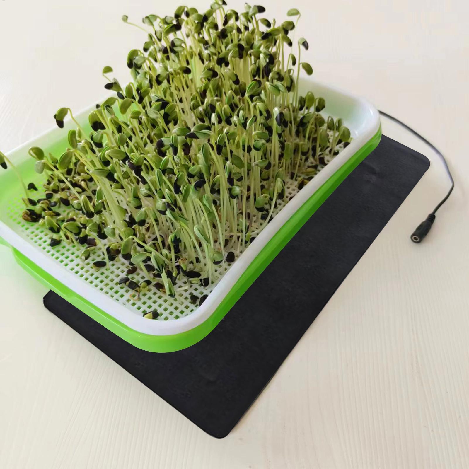Seedling Heat Mat 5V 2A 8.5W P - đánh giá và giá Seedling Heat Mat